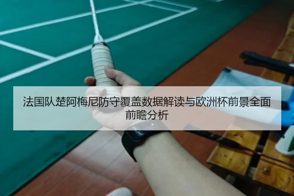 法国队楚阿梅尼防守覆盖数据解读与欧洲杯前景全面前瞻分析