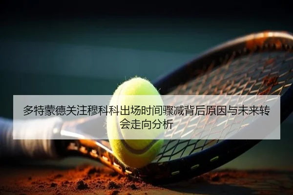 多特蒙德关注穆科科出场时间骤减背后原因与未来转会走向分析